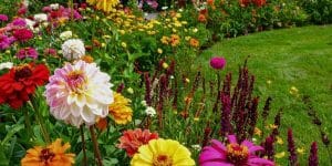 Cuánto cuesta mantener un jardín en Córdoba