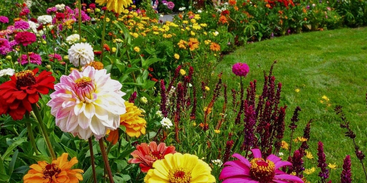 Cuánto cuesta mantener un jardín en Córdoba