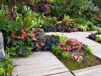 diseño de jardines
