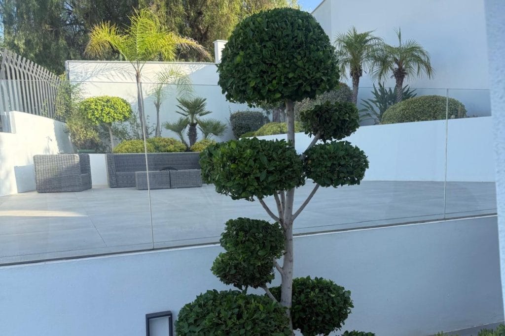 jardinero en Córdoba (1)