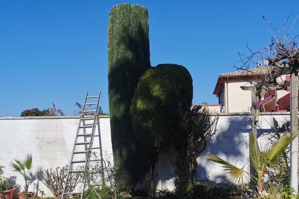 jardinero en Córdoba (13)