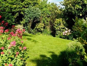 mantenimiento de jardines