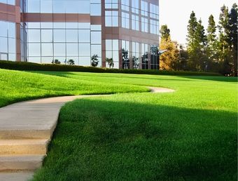 mantenimiento jardines empresas